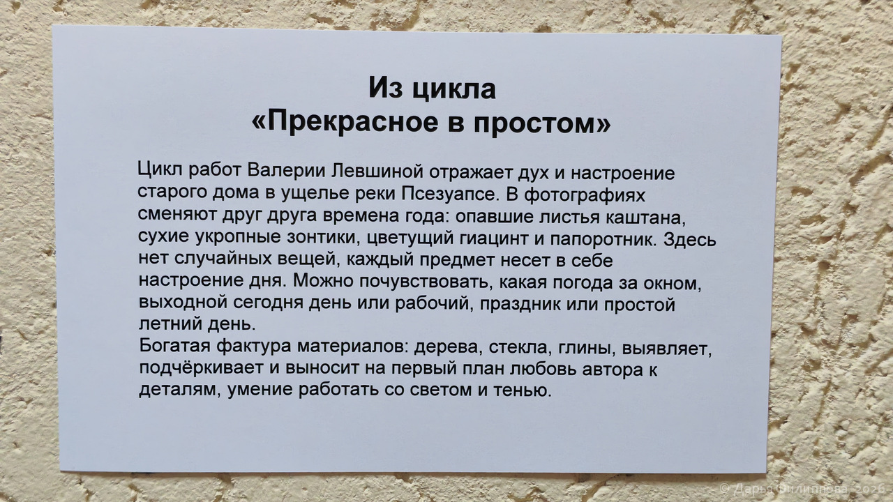 натюрморт