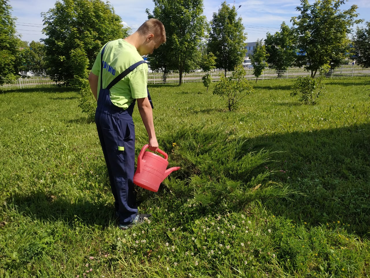 трудоустройство