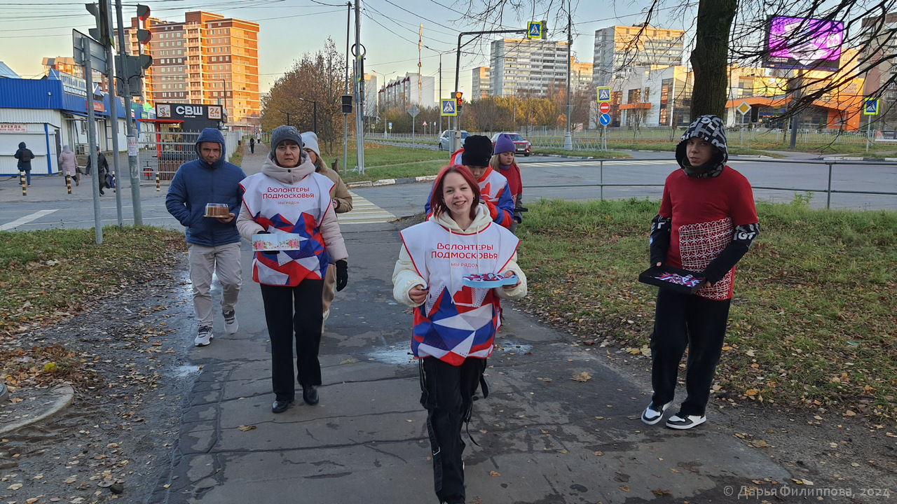 волонтеры Подмосковья