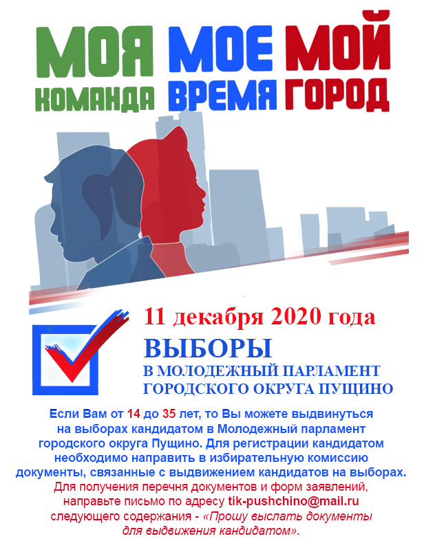 Плакат Выборы Молодёжного парламента