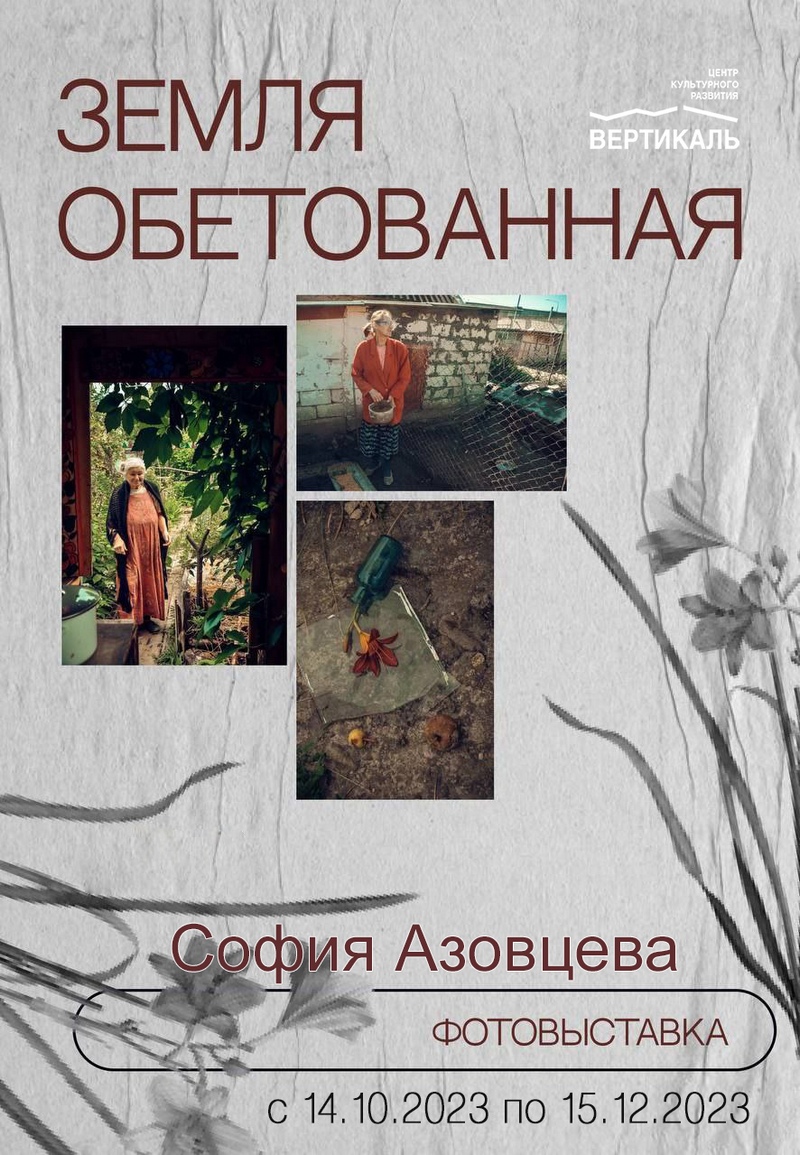 выставка