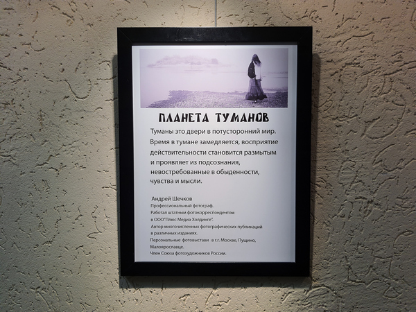 вертикаль выставки