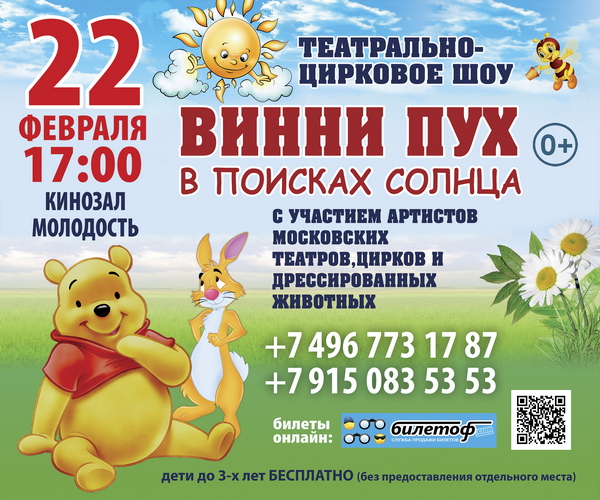 Винни Пух представление