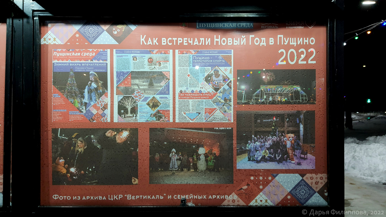 Выставка Как встречали Новый год в Пущино фото