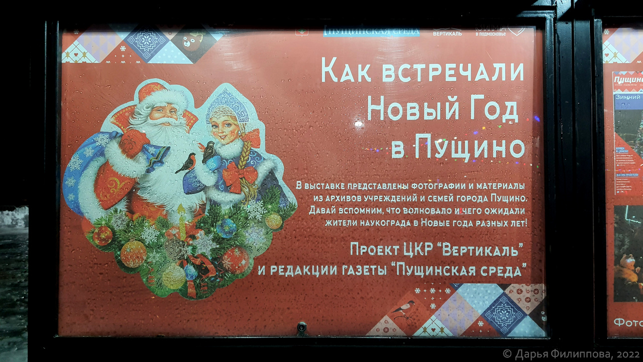 Выставка Как встречали Новый год в Пущино фото
