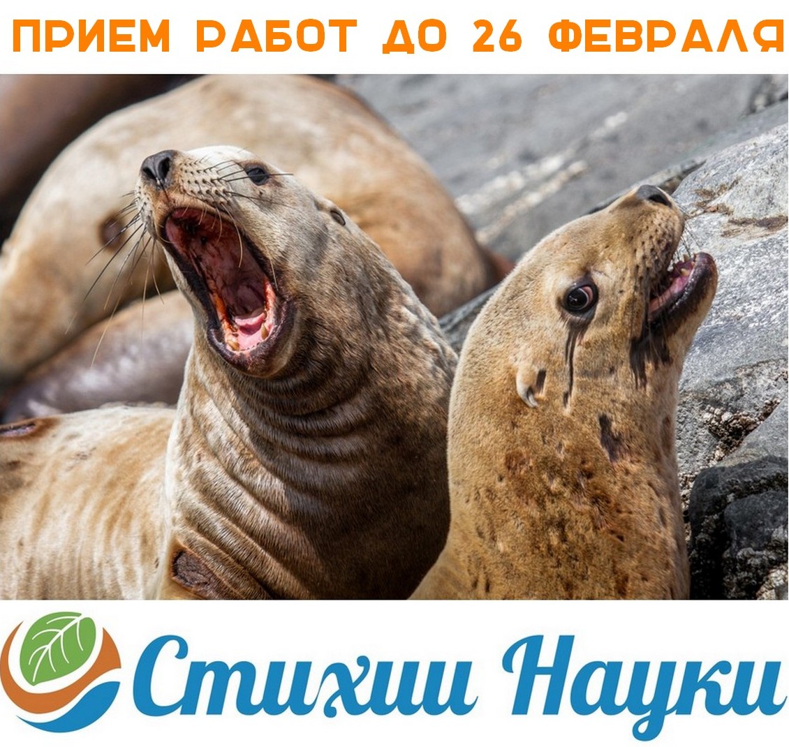 Стихии науки 2023